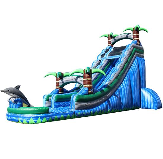 Dolphin water slide